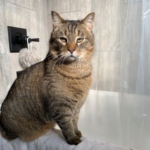 Meet your Posher, Chloe!